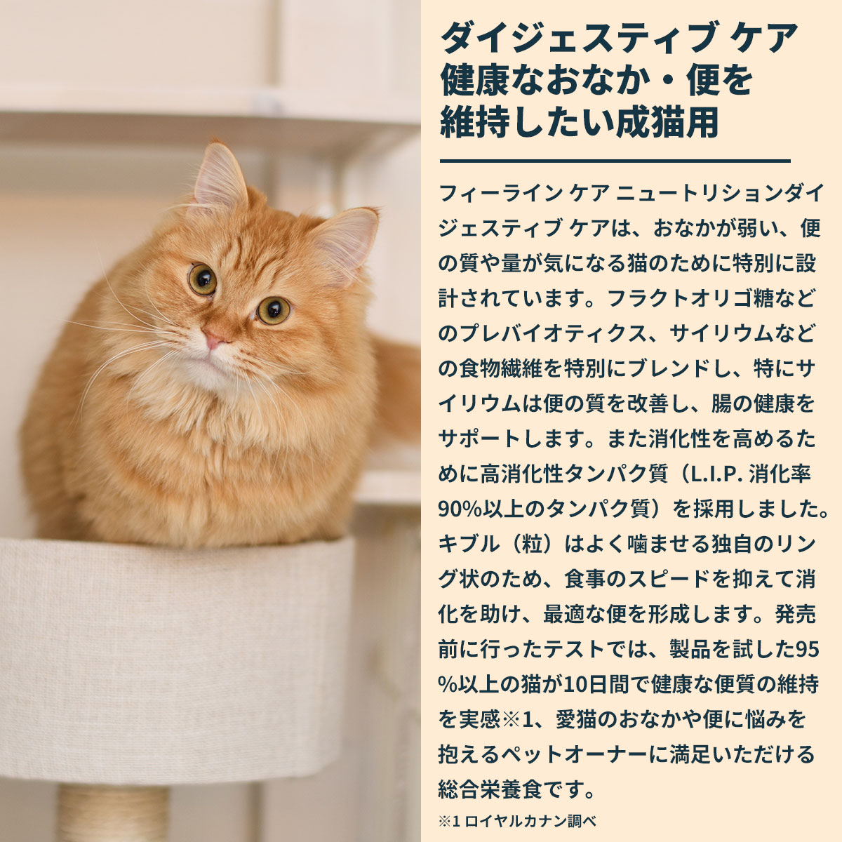 ロイヤルカナン 健康なおなか・便を維持したい猫専用フード成猫用 (4kg