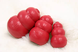 デンタルコング　米国獣医学博士イアン・ダンバー氏推薦