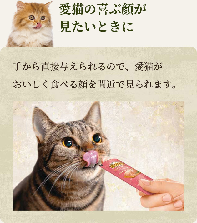 愛猫の喜ぶ顔が見たいときに 手から直接与えられるので、愛猫がおいしく食べる顔を間近で見られます。