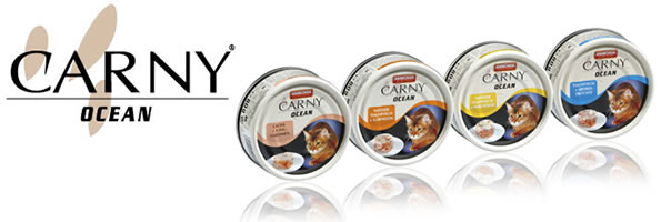 アニモンダ カーニーオーシャン