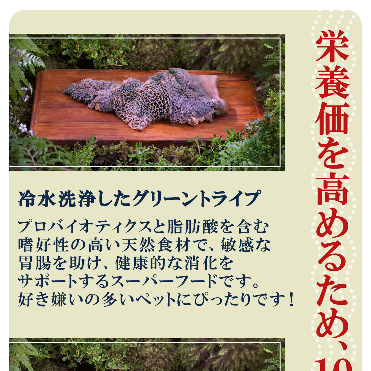 ジウィ ZIWI エアドライ キャットフード ラム 1kg×5個セット