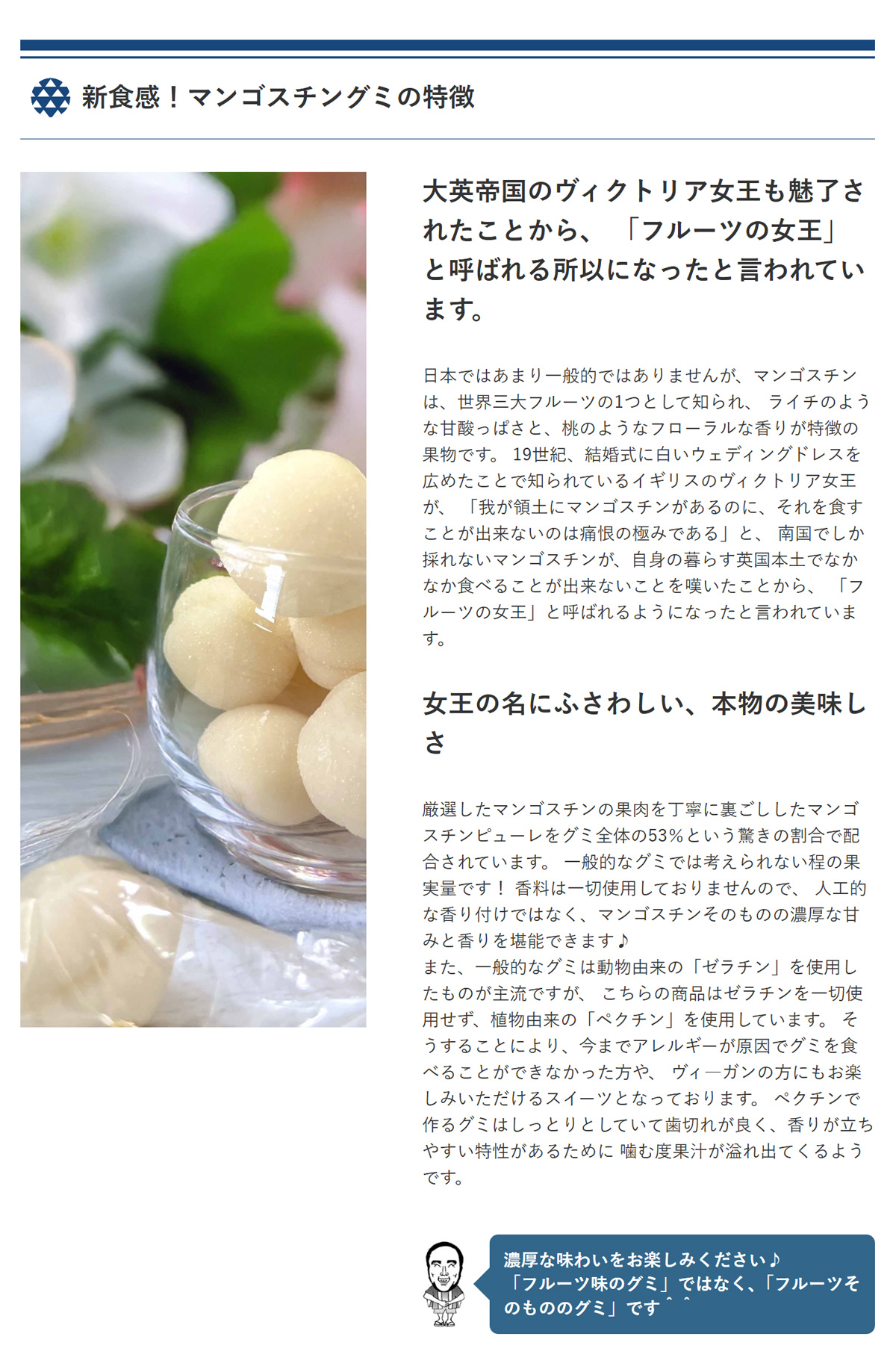 新発売！】 新食感！ マンゴスチングミ 300g マンゴスチンピューレ53