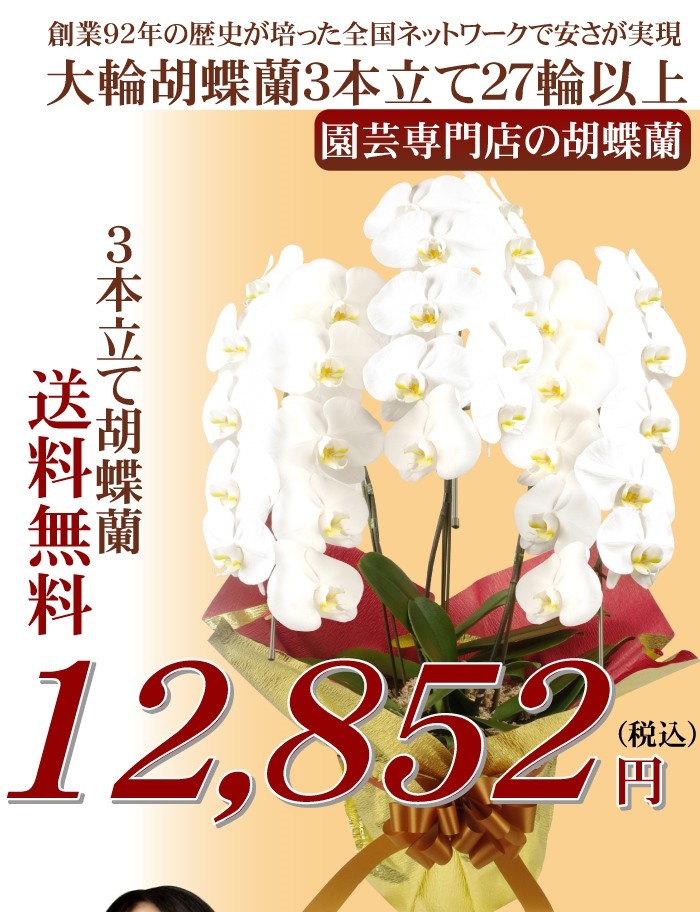 花と緑 国華園 ギフト 贈答用 胡蝶蘭など 植物 苗 球根 Yahoo ショッピング