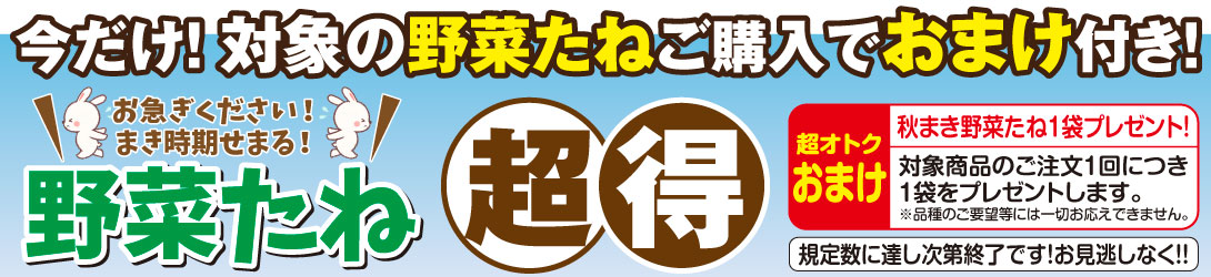 葉菜の種（葉菜種類：ブロッコリー）｜種、種子｜花、ガーデニング 通販 - Yahoo!ショッピング