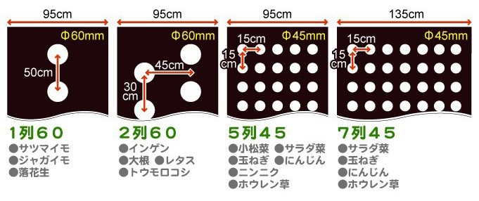 農業用マルチシート 穴あき透水マルチ 7列45 1.35×50m 1巻1組 農用 マルチング 被覆資材 ポリプロピレン 不織布 透水 地温上昇 国華園  :s15132:花と緑 国華園 - 通販 - Yahoo!ショッピング