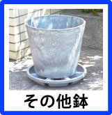 その他鉢