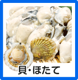 貝・ほたて