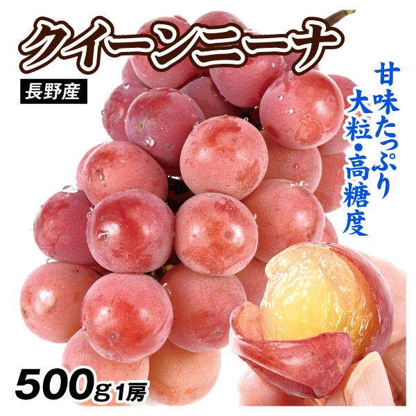 ぶどう 約700g クイーンニーナ 約350g×2パック 長野産 赤ぶどう 果物