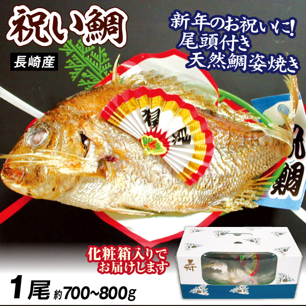 魚 祝い鯛 1尾 長崎産 天然真鯛 姿焼き 化粧箱入り タイ 迎春 お食い初め 送料無料 冷凍便 食品