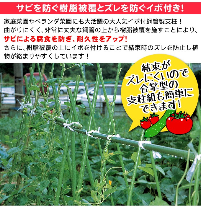オリジナル園芸用イボ付き鋼管支柱  50本入り 1.1×120×2梱　100本 Amazon | 園芸支柱 Φ20mm 50本 1800mm イボ付き支柱 イボ竹