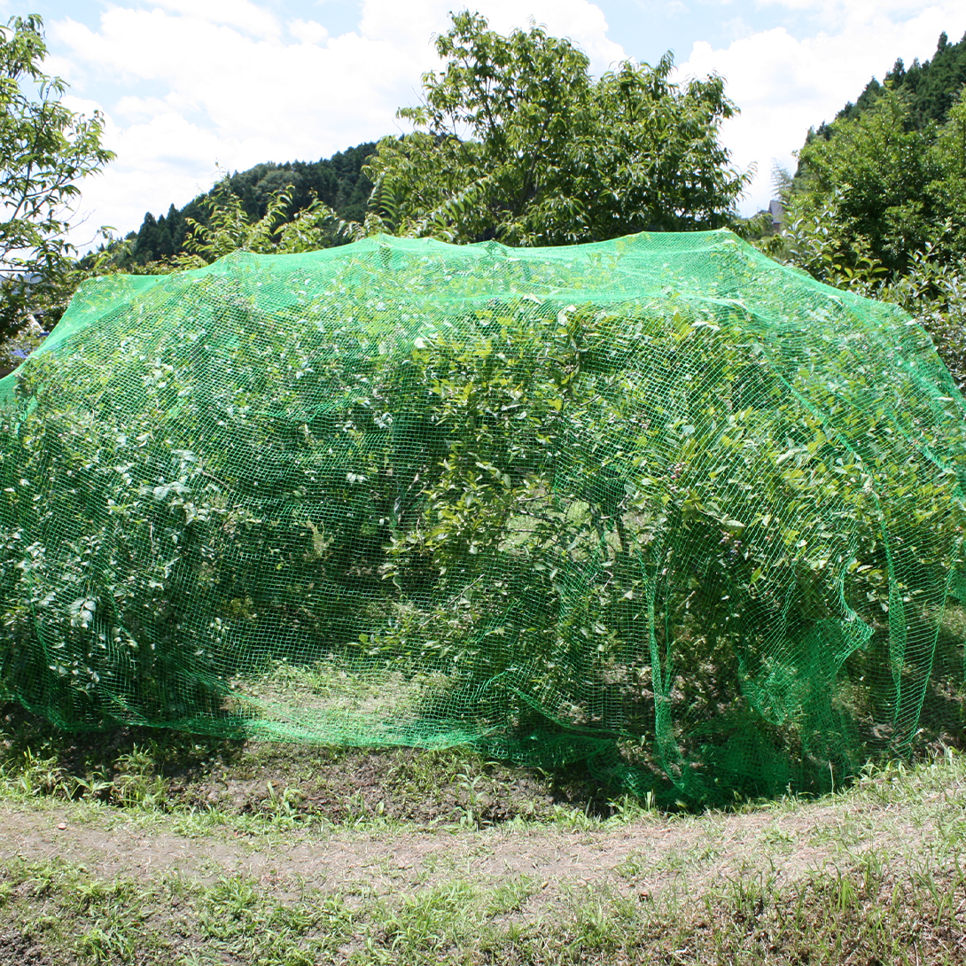 防鳥ネット 丈夫な防鳥ネット（4m×50m）1巻 目合17mm グリーン 網 防鳥 鳥よけ 国華園