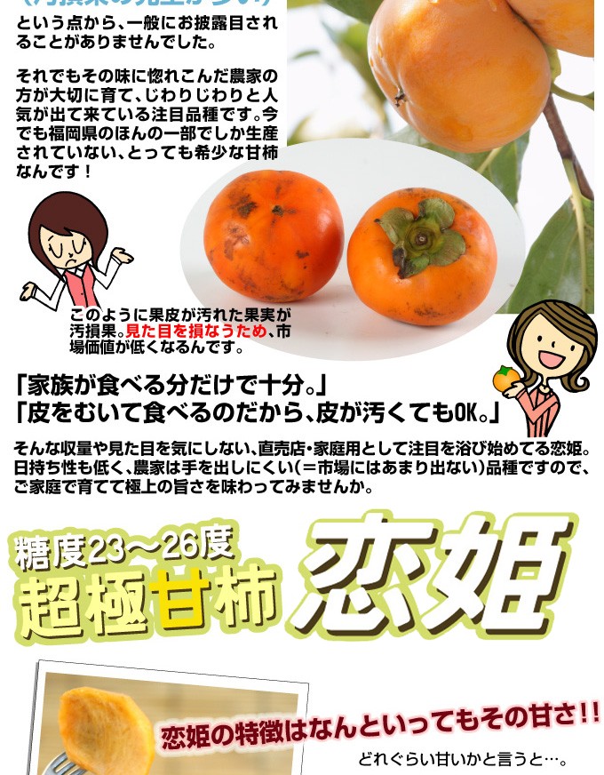 カキ苗・とにかく甘い