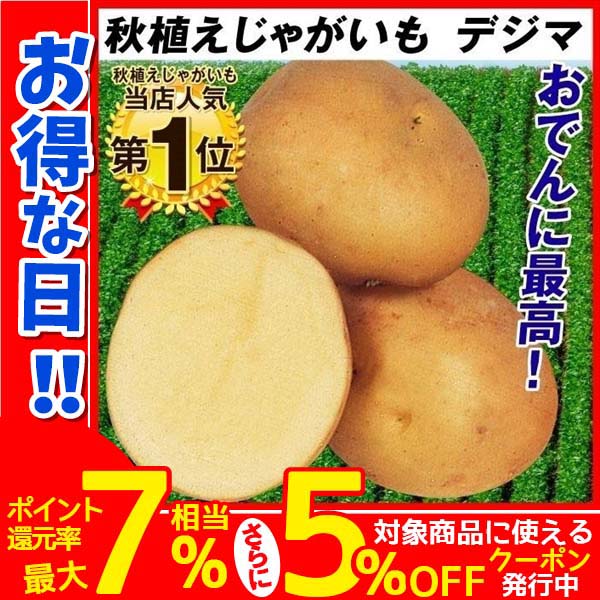 最後の一箱 長崎県産じゃがいもS 10㎏ 農家直送｜Yahoo!フリマ