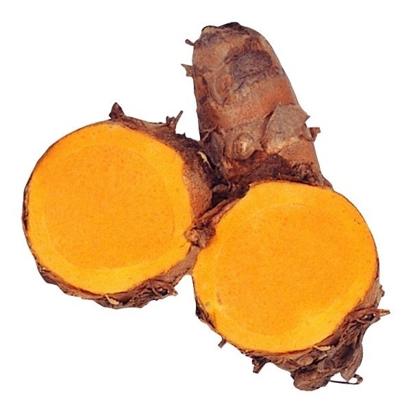 ��� �E�R�� �H�E�R��(��C��)500g / ������ ���������� �H������ �A�L�E�R�� �~�l���� ���N �h�{���_