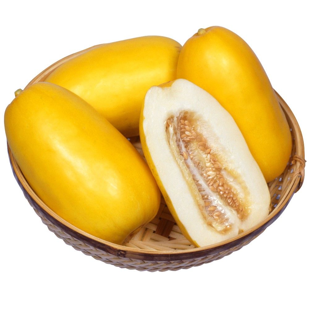 種 野菜たね マクワウリ F1黄金まくわ 1袋（1ml） やさいの種 国華園