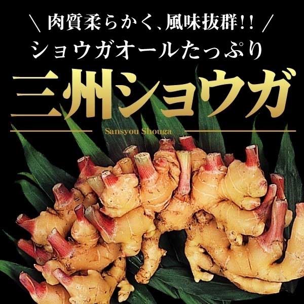 VEK I OBVEK 1kg / 傤 傤̎ VEK̎ ˂ C ^lC ƒ؉  ƒ͔| ؉