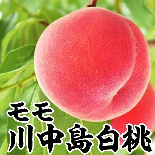  쒆 1 ʎc ؉