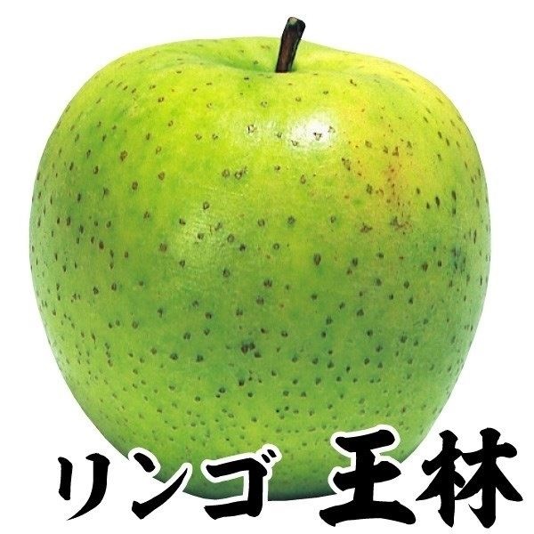 S  1 ʎc ؉