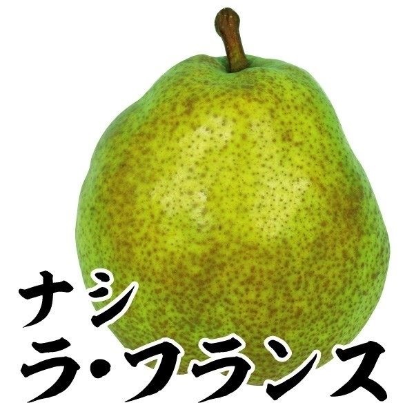 ナシ 洋梨 ラ・フランス 1株 果樹苗 国華園 : 花と緑 国華園