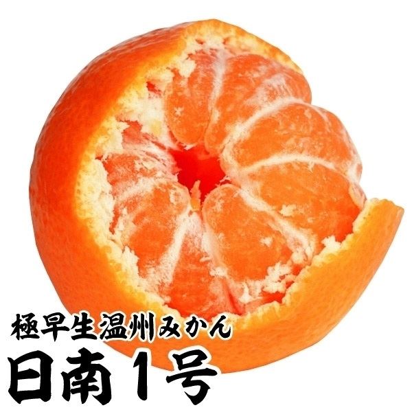 ʎc JLc B݂ 1 1