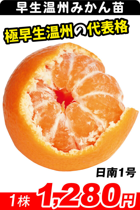 日南1号