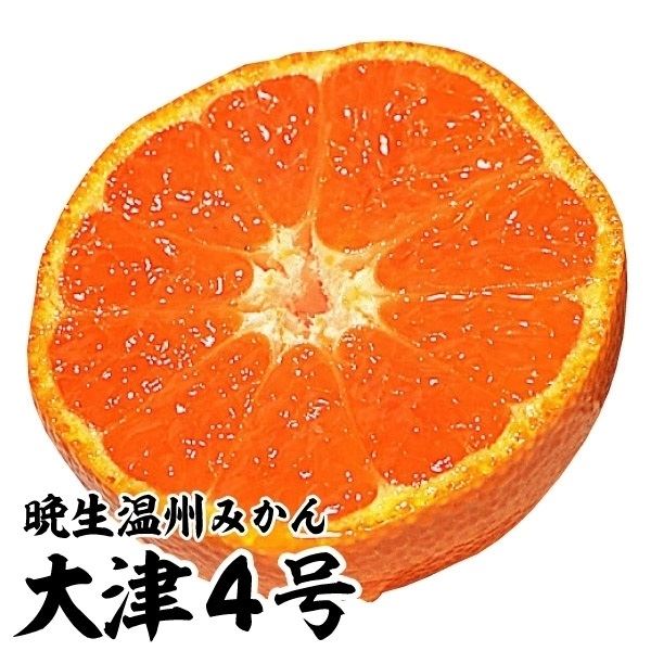 ʎc JLc B݂ 4 1