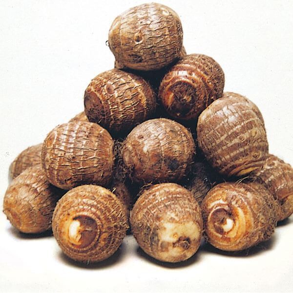 里いも種芋 女早生1kg : 花と緑 国華園 - 通販 - Yahoo!ショッピング