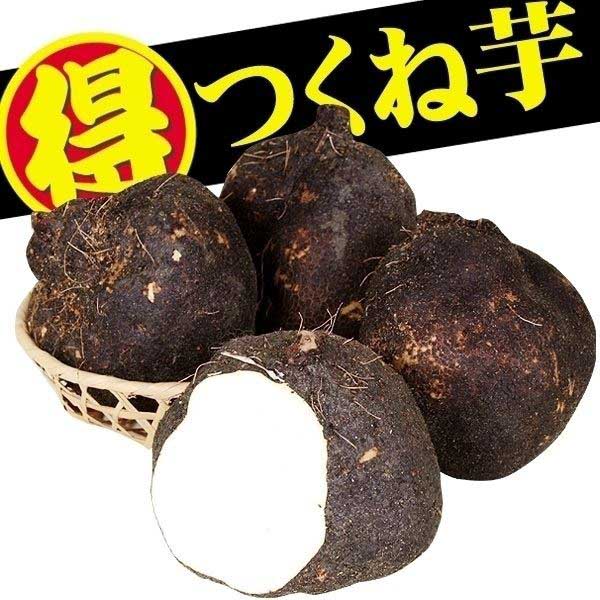 つくね芋のおすすめ人気商品一覧 通販 - Yahoo!ショッピング