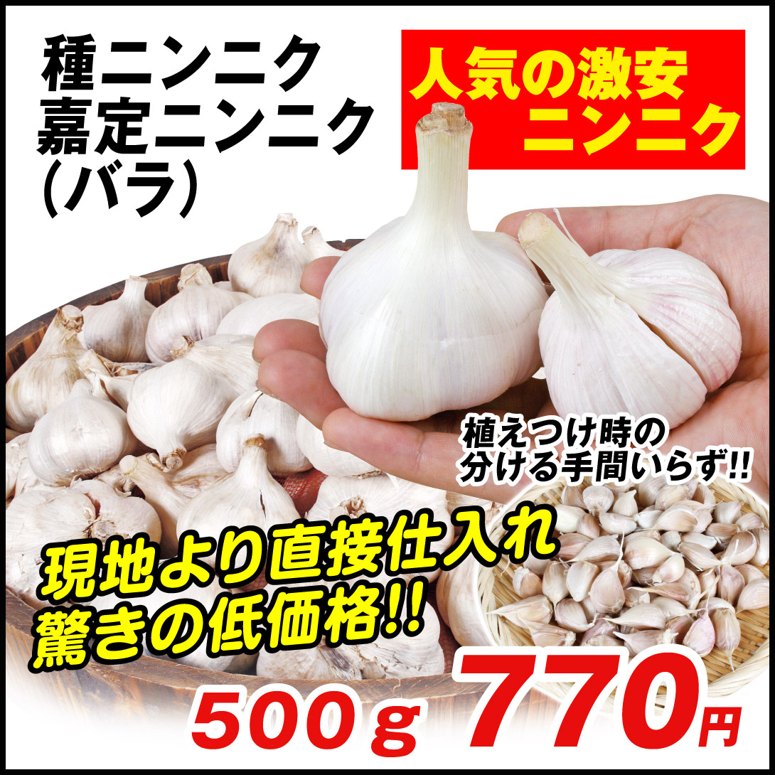 嘉定ニンニク バラ　500ｇ