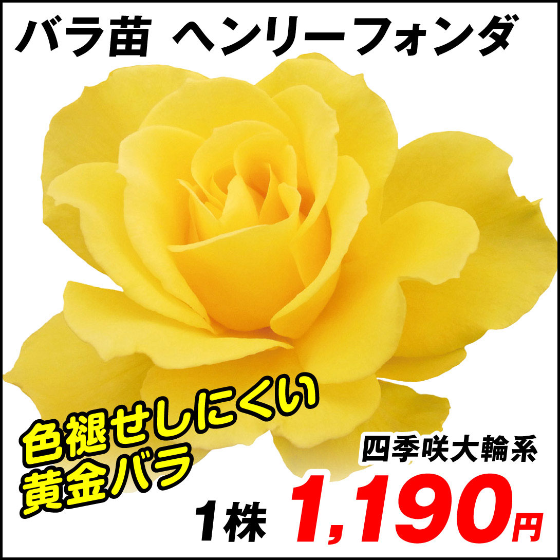 ヘンリーフォンダ