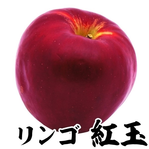 リンゴ 苗木 苗 紅玉 1株 / 林檎 リンゴの苗木 リンゴの木 果樹苗 国華園