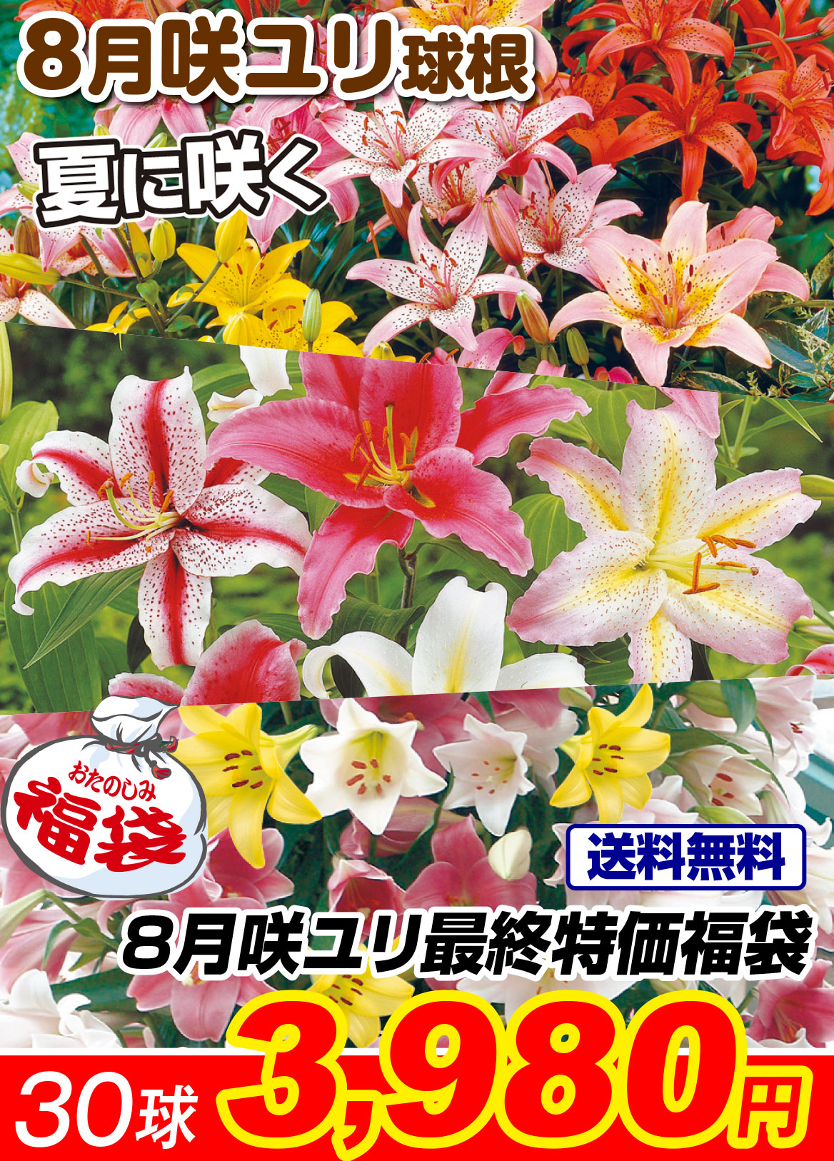 8月最終処分