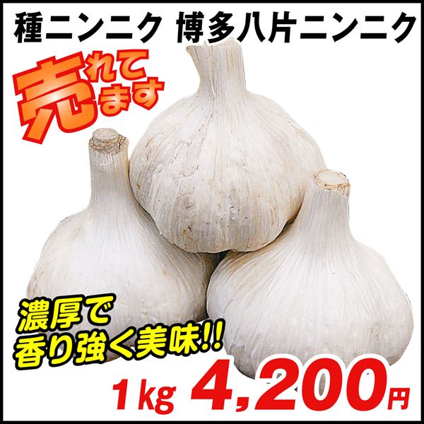 ニンニク 種球 博多八片ニンニク 種球 1kg / にんにくの種 ガーリック 家庭菜園 家庭栽培 暖地向きニンニク 福岡 人気 早生 博多にんにく  国華園