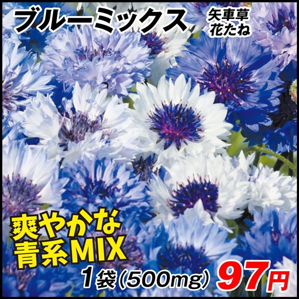 超安い 種 花たね 大天人菊混合 1袋 300mg