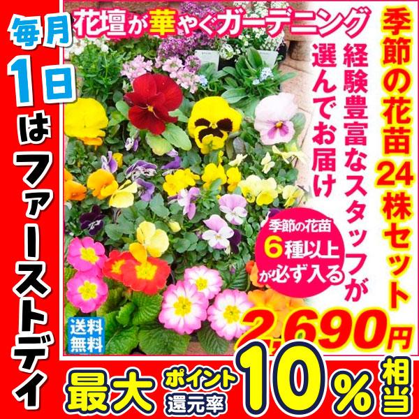 花苗 季節の花苗 6種以上 24ポット セット 春夏 おまかせ ガーデニング 花壇 送料無料