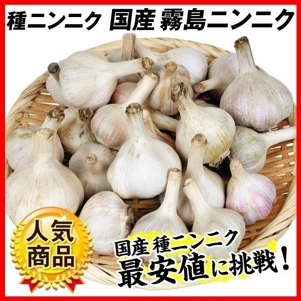 jjN 틅 jjNi틅 EYj 1kg / ɂɂ jjN̎ ɂɂ̂ f 肵 LV} Y lC   ܂Ƃߔ ʔ