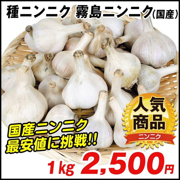 希少 極旨 ハリマ にんにく 5キロ 旨辛 レア 珍しい 兵庫 播磨