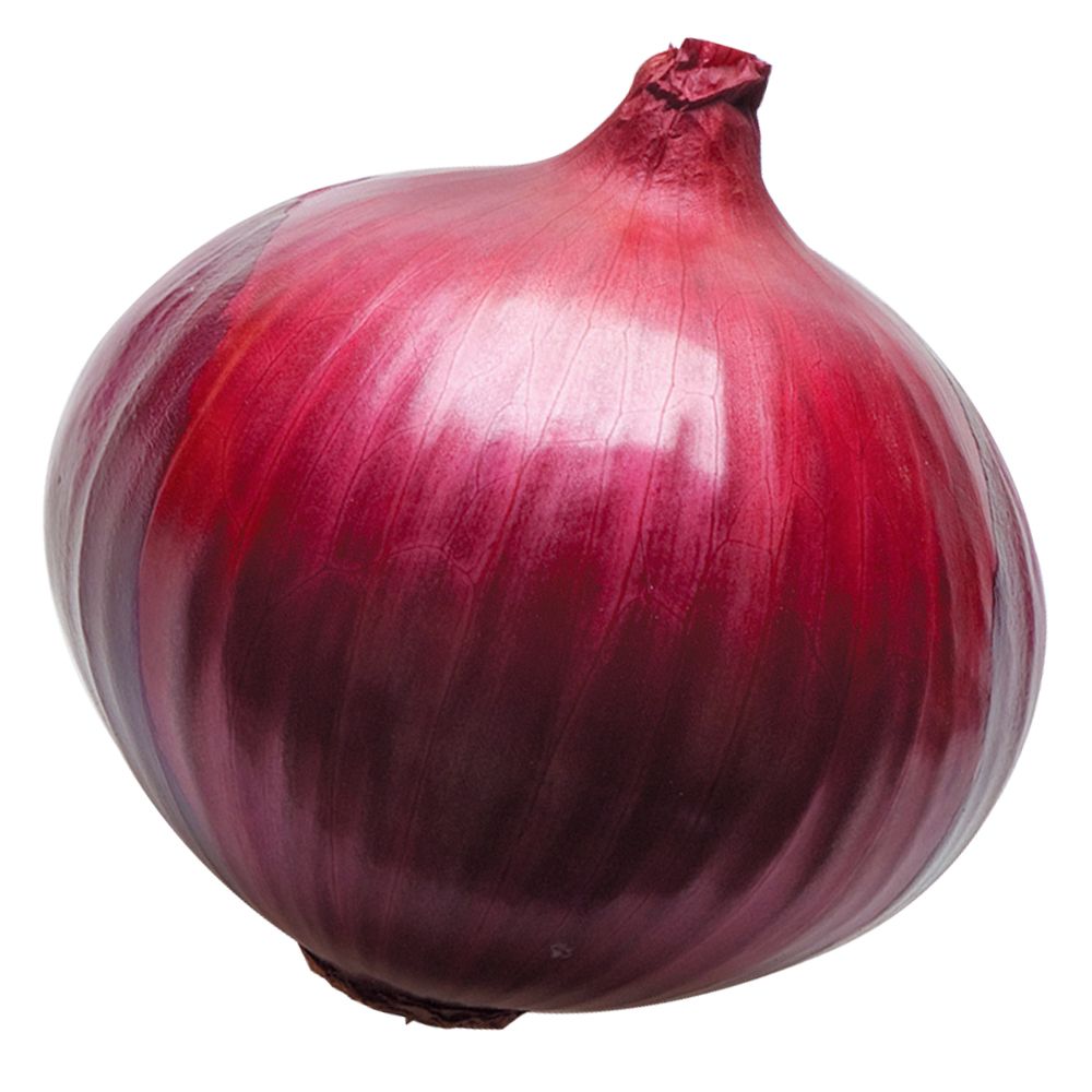 国華園 種 野菜たね タマネギ (早生)レッド...の詳細画像2