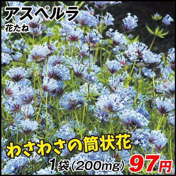 84％以上節約 種 花たね アスペルラ 1袋(200mg) 花