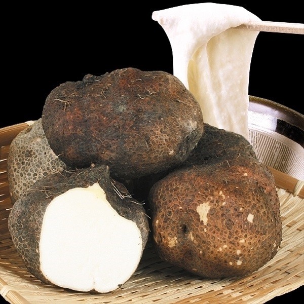 じゃがいも種芋 レッドムーン 3kg : 花と緑 国華園 - 通販 - Yahoo
