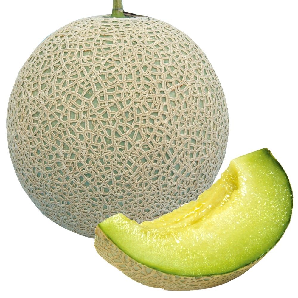 ������ؕc ������ F1�t�F���[�`�F 8��  �����c �₳���Ȃ� �Ȃ� ���؉�