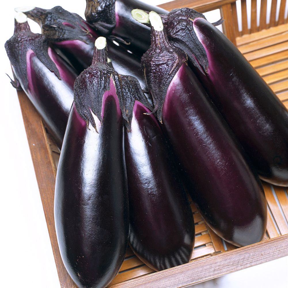 �ږؖ�ؕc �����i�X �ږ�F1�Ƃ��Ȃ��痼�񍆁i�_�ѐ��Y�ȓo�^�i�� �o�^���F�Ƃ��Ȃ��Ó�1���jPVP 20��  �֎q �����傤�ɂ��� �₳���Ȃ� �Ȃ� ���؉�