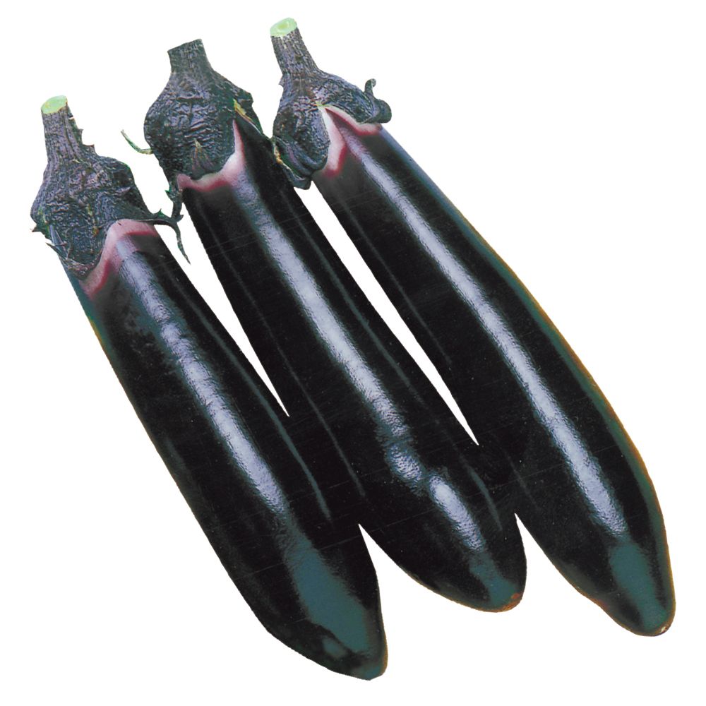 ������ؕc �����i�X F1���� 8��  �֎q �����c �₳���Ȃ� �Ȃ� ���؉�