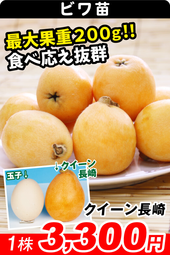 クイーン長崎