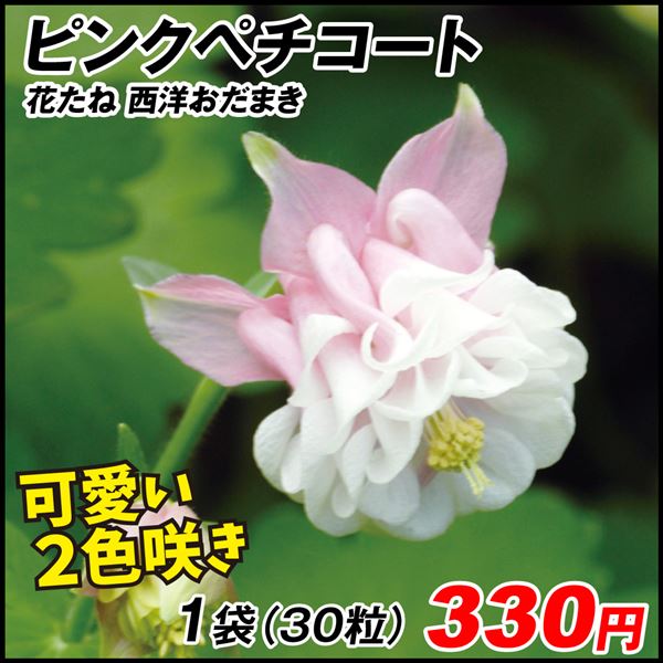 種 花たね レウィシア エリーゼミックス 1袋(15粒) 通販