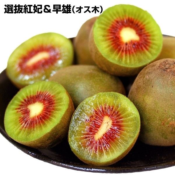 キウイ苗 果樹の人気商品・通販・価格比較 - 価格.com