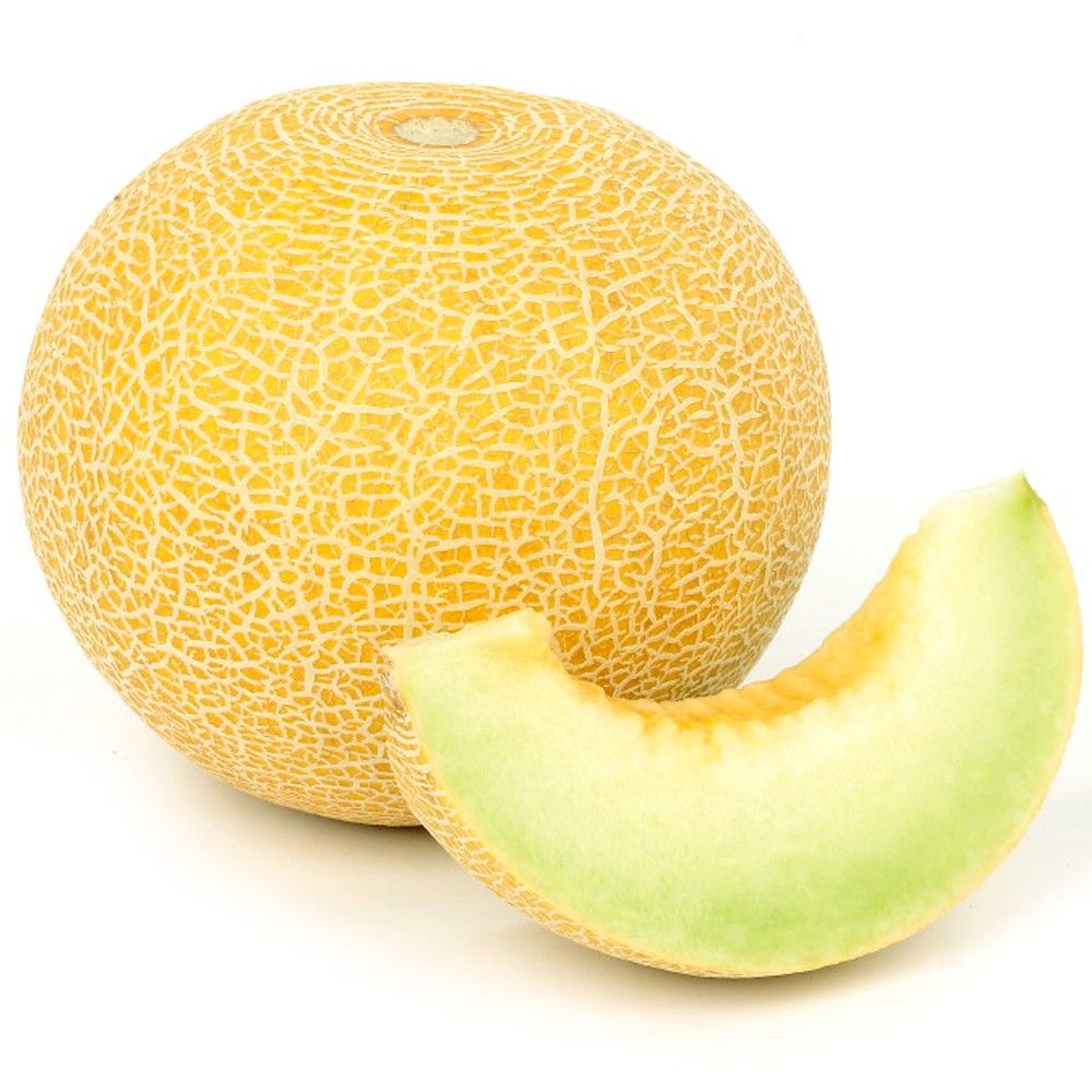 実生野菜苗 メロン F1ころたんR 1株 自根苗 やさいなえ なえ 国華園