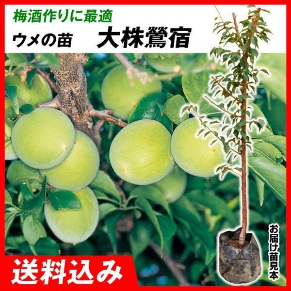 劔E 劔hi~j 1  ʎc ؉