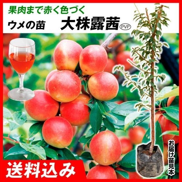 劔E 劔IPVPi~j 1  ʎc ؉