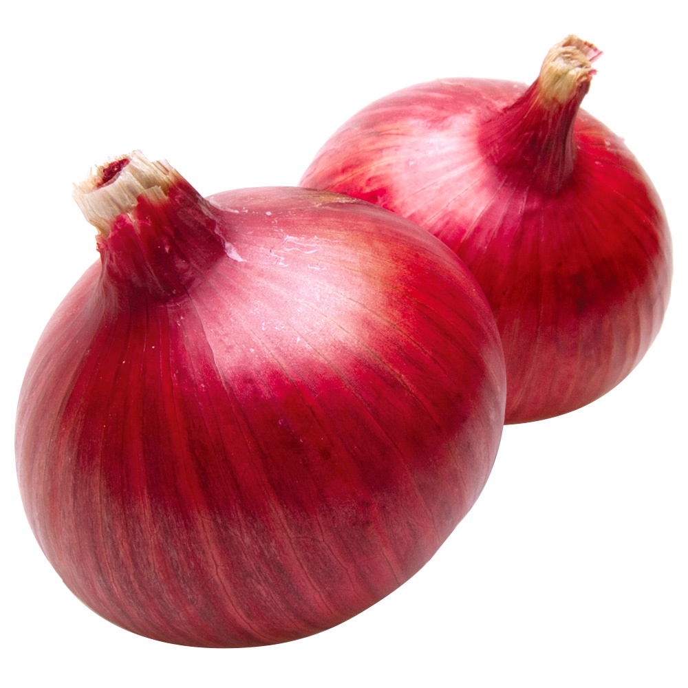 タマネギ 種 野菜たね タマネギ （極早生）レッドアロー 品種登録出願中 1